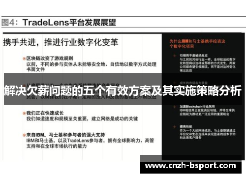解决欠薪问题的五个有效方案及其实施策略分析