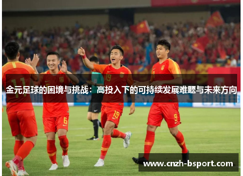 金元足球的困境与挑战：高投入下的可持续发展难题与未来方向